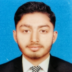 Shah Noor-Freelancer in Multan,Pakistan