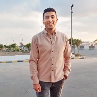 Mohamed-Freelancer in Aga,Egypt