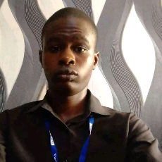 Ezemokwe Chukwudi Victor-Freelancer in Jos,Nigeria