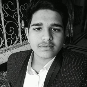 Mohd Muzzakkir-Freelancer in Delhi,India