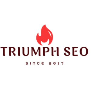 Triumph Seo-Freelancer in Jaipur,India