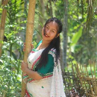 Karabi Borgohan-Freelancer in Upper Assam Division,India