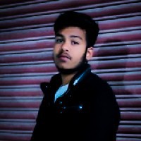 Kartik Pal-Freelancer in Delhi,India