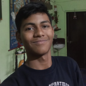 Akash Chowdhury12-Freelancer in Renukoot,India
