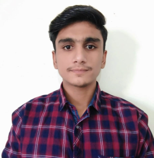Avinash Patil-Freelancer in Pune,India