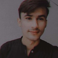 Naeem Ali-Freelancer in Multan,Pakistan