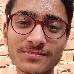 Neeraj Kumar-Freelancer in Delhi,India