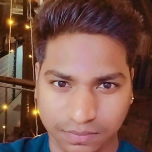 WordPress Developer | Vijay-Freelancer in Ambala,India