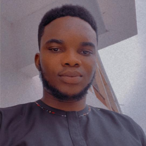 Idris Adio-Freelancer in Lagos,Nigeria