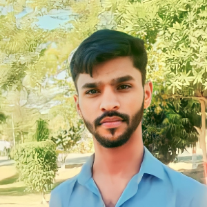 Ali Developer-Freelancer in Faisalabad,Pakistan