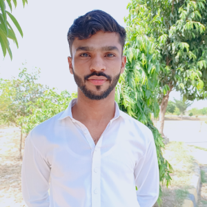 Ali Developer-Freelancer in Faisalabad,Pakistan