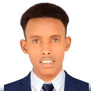 Mohamed Abdi Hussein-Freelancer in NAIROBI,Kenya