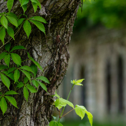 R. Santhosh kumar yadav-Freelancer in Bengaluru,India