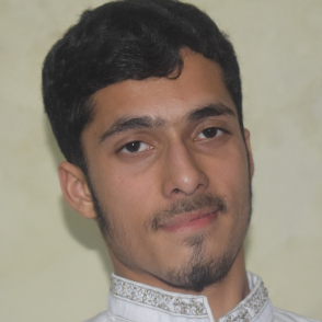 Malik Zain-Freelancer in Gujranwala,Pakistan