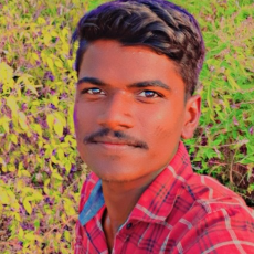Shrikant Bawane-Freelancer in Amravati,India
