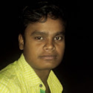 Sudhir Roy-Freelancer in ISLAMPUR,India