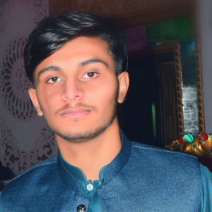 Syed Ali Hamid Shah-Freelancer in Jalalpur Jattan,Pakistan