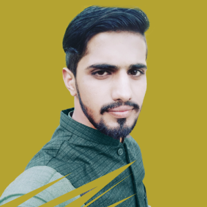 Muhammad Husnain-Freelancer in Islamabad,Pakistan