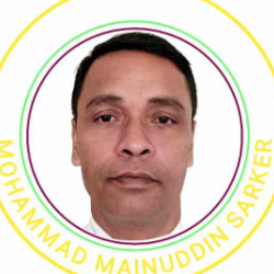 Mohammad Mainuddin Sarker-Freelancer in Dhaka,Bangladesh