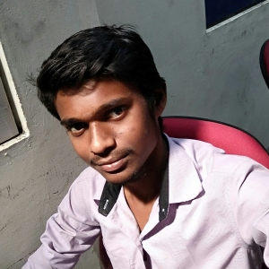Karthi Thangavel-Freelancer in Salem,India