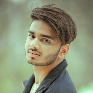 Ansh Rajput-Freelancer in Delhi,India