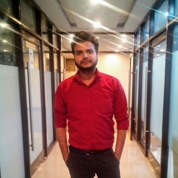 Anand Singh-Freelancer in Noida,India
