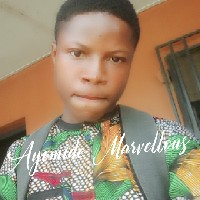 Owolabi Marvellous Ayomide-Freelancer in Osogbo,Nigeria