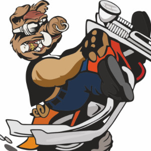 Bharat Singh-Freelancer in Jaipur,India