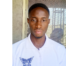 Aaron Aluko-Freelancer in Abuja,Nigeria