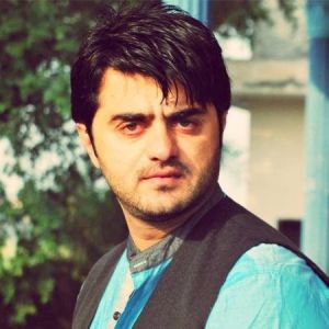 Jamshaid Saleem-Freelancer in sialkot, pakistan,Pakistan