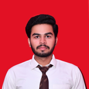 Nitin Saxena-Freelancer in Meerut,India