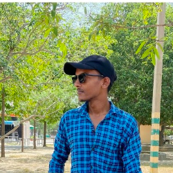 Alokranjan Rai-Freelancer in ,India