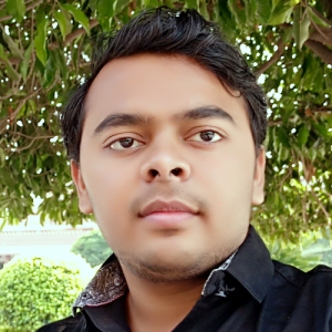 Sarvaiya Parth-Freelancer in Rajkot,India
