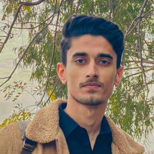 Malik Hashim-Freelancer in Islamabad,Pakistan