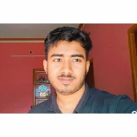 Raja Mondal-Freelancer in Gurgaon Division,India