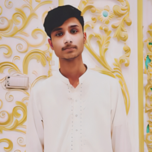 Muhammad Salman-Freelancer in Lahore,Pakistan
