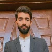 Muhammad Hamza-Freelancer in Sheikhupura,Pakistan