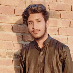 Muhammad Talha-Freelancer in Rahim Yar Khan,Pakistan