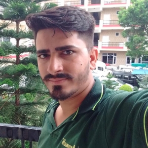 Sushil Sharma-Freelancer in Chandigarh,India