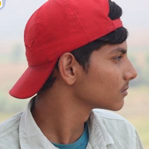Pawan Meena-Freelancer in Jaipur,India