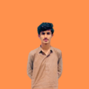 Taimoor Ahmad-Freelancer in Multan,Pakistan