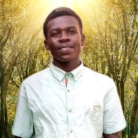 Felix Mayaka-Freelancer in Nairobi,Kenya