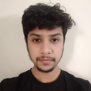 Anshul Bisan-Freelancer in Nagpur,India