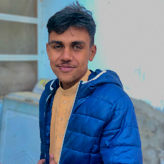 Mohsin Ali-Freelancer in Usta Mohammad,Pakistan