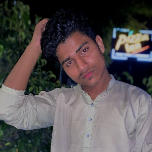 Sarfraz Mughal-Freelancer in Burewala,Pakistan