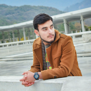 Muhammed Bilal-Freelancer in Islamabad,Pakistan