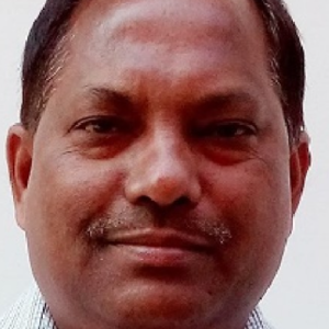 VP Suman-Freelancer in Udaipur,India
