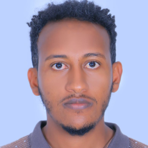 Binyam Teklehaimanot Gebru-Freelancer in Addis ababa,Ethiopia
