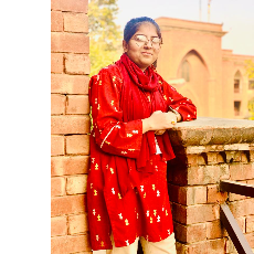 Mahnoor Zaidi-Freelancer in Lahore,Pakistan