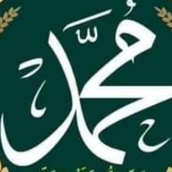 Sonia Asghar-Freelancer in kharian,Pakistan